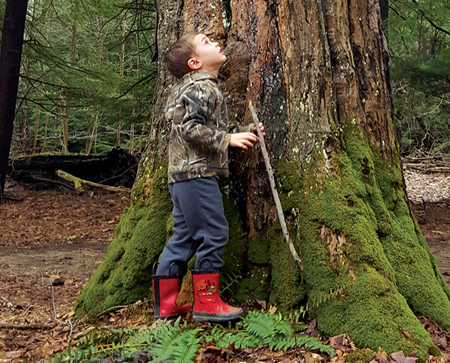 The Benefit of Trees Lake Metroparks